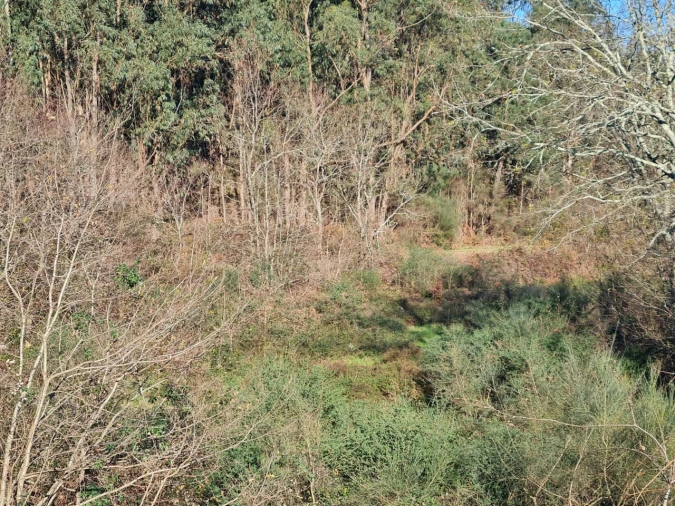 Terreno para Venda em Rio de Moinhos Foto 31