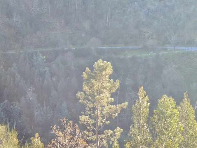 Terreno para Venda em Rio de Moinhos Foto 32