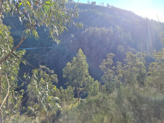 Terreno para Venda em Rio de Moinhos Foto 33