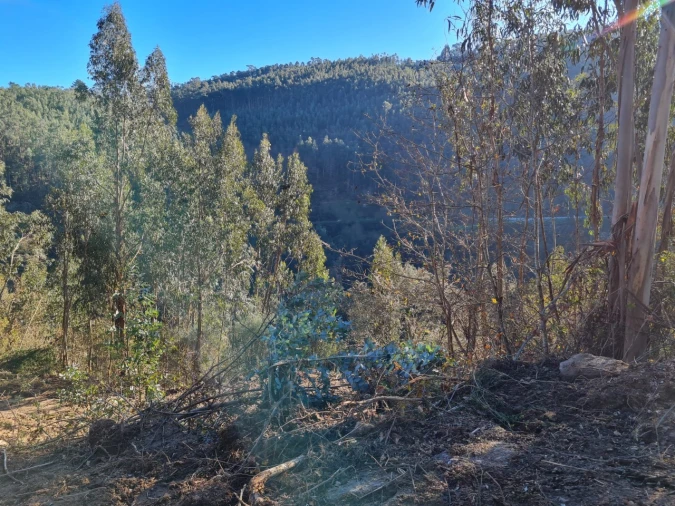 Terreno para Venda em Rio de Moinhos Foto 46