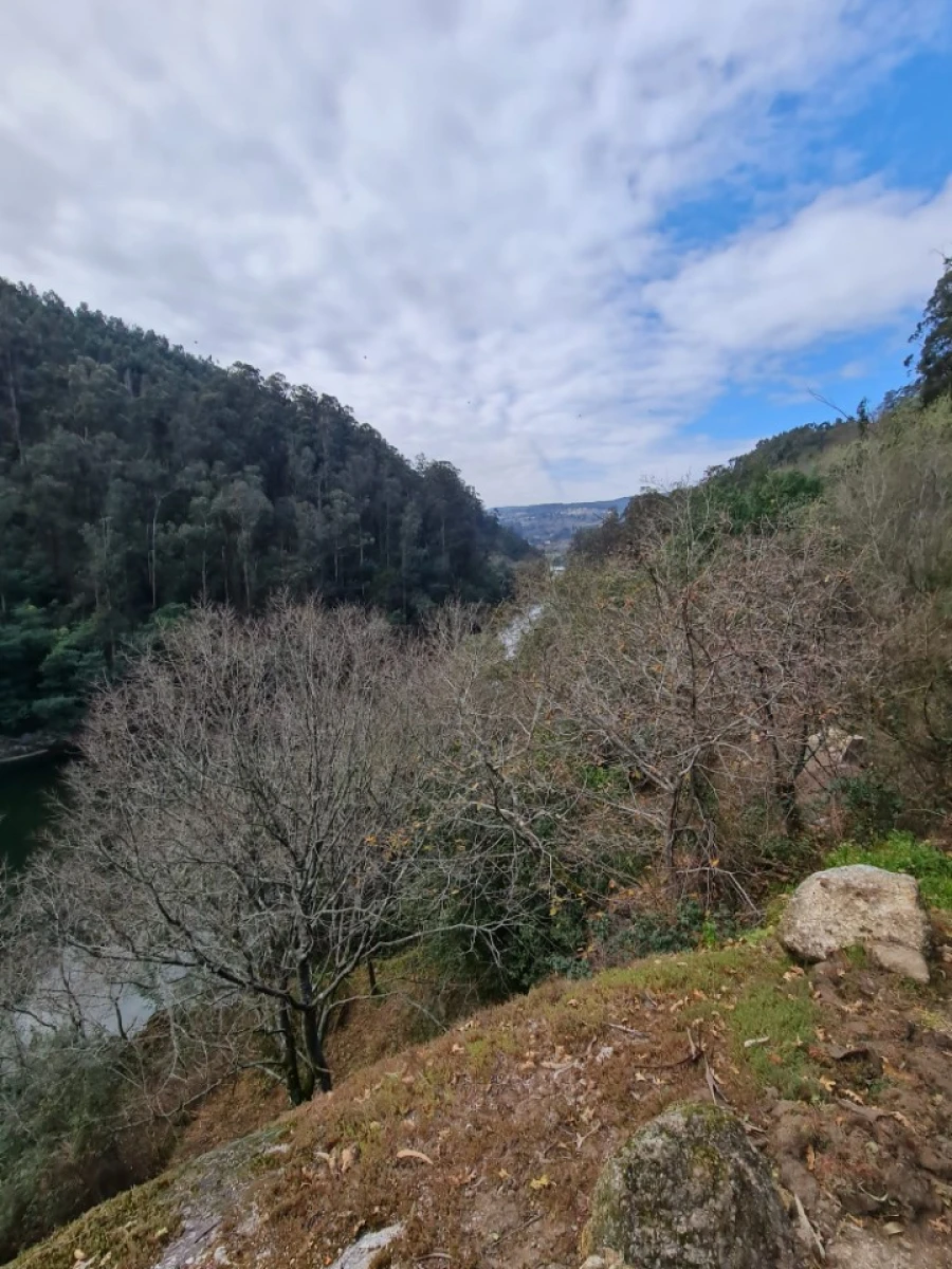 Terreno para Venda em Rio de Moinhos Foto 48