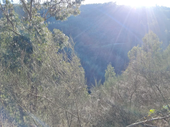 Terreno para Venda em Rio de Moinhos Foto 51