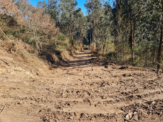 Terreno para Venda em Rio de Moinhos Foto 53
