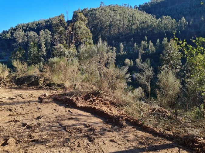 Terreno para Venda em Rio de Moinhos Foto 54