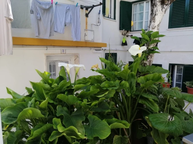 Moradia T7 para Venda em Costa da Caparica Foto 5