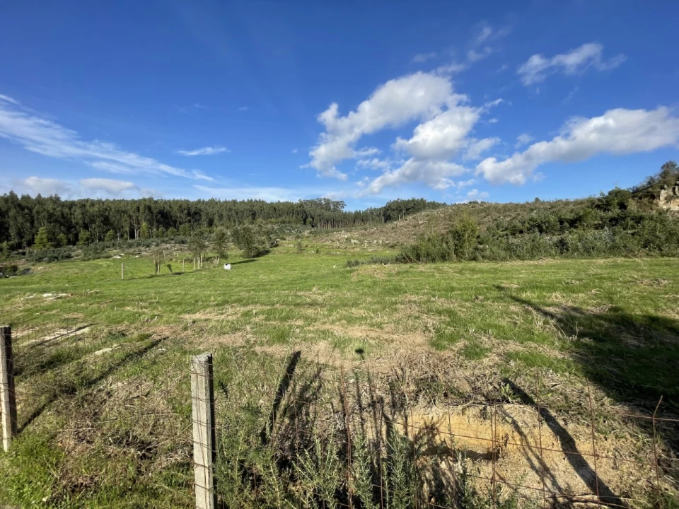 Terreno para Venda em Termas de São Vicente Foto 4