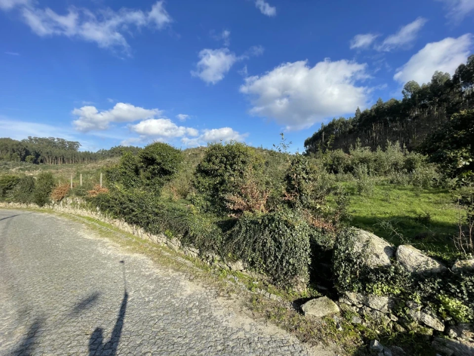 Terreno para Venda em Termas de São Vicente Foto 6