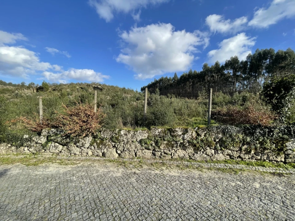 Terreno para Venda em Termas de São Vicente Foto 7