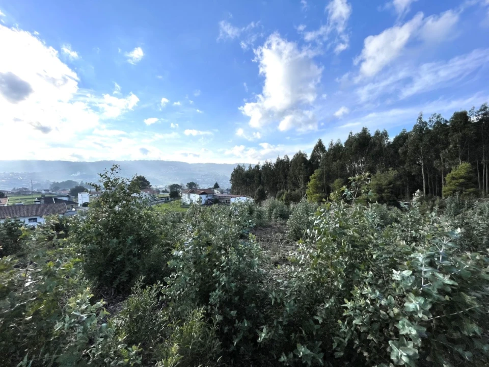 Terreno para Venda em Termas de São Vicente Foto 10