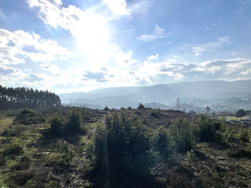Terreno para Venda em Termas de São Vicente Foto 14