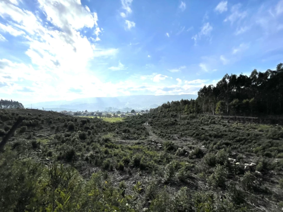 Terreno para Venda em Termas de São Vicente Foto 15