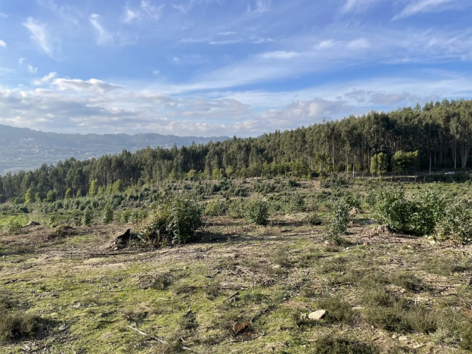 Terreno para Venda em Termas de São Vicente Foto 16