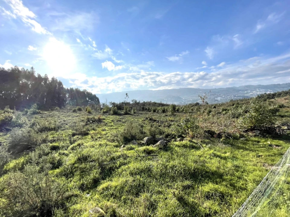 Terreno para Venda em Termas de São Vicente Foto 17
