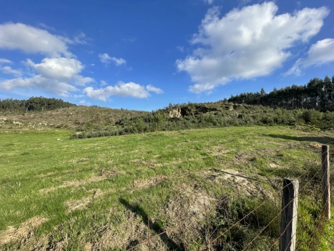 Terreno para Venda em Termas de São Vicente Foto 1