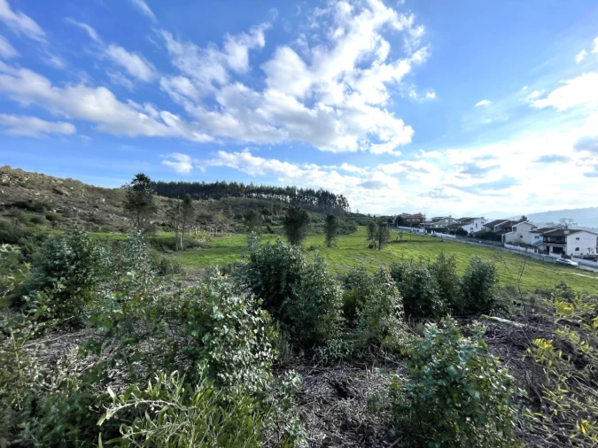 Terreno para Venda em Termas de São Vicente Foto 8