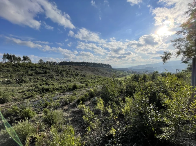 Terreno para Venda em Termas de São Vicente Foto 13