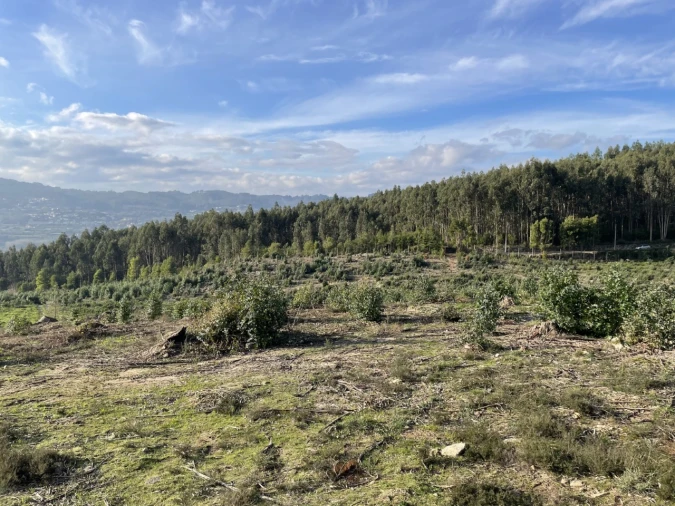 Terreno para Venda em Termas de São Vicente Foto 16