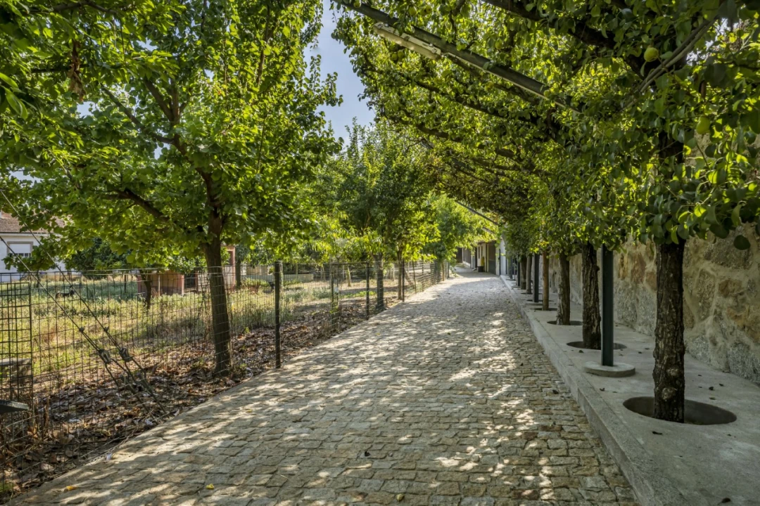 Moradia T5 para Venda em Nevogilde Foto 46