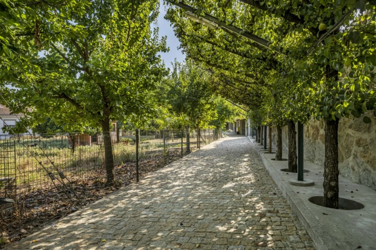 Moradia T5 para Venda em Nevogilde Foto 46