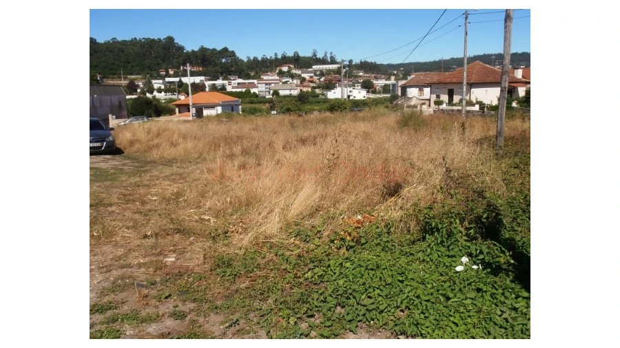Terreno para Venda em Frazão Arreigada Foto 3