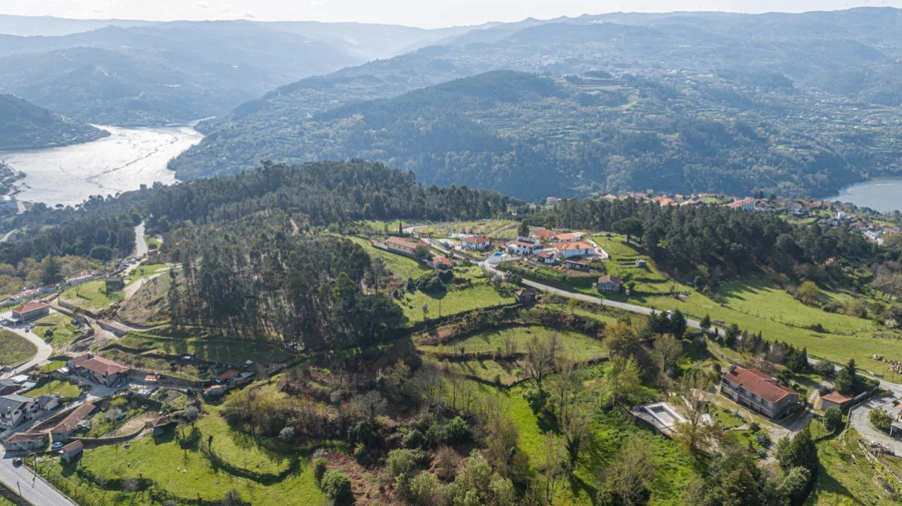 Terreno para Venda em Penhalonga e Paços de Gaiolo Foto 8