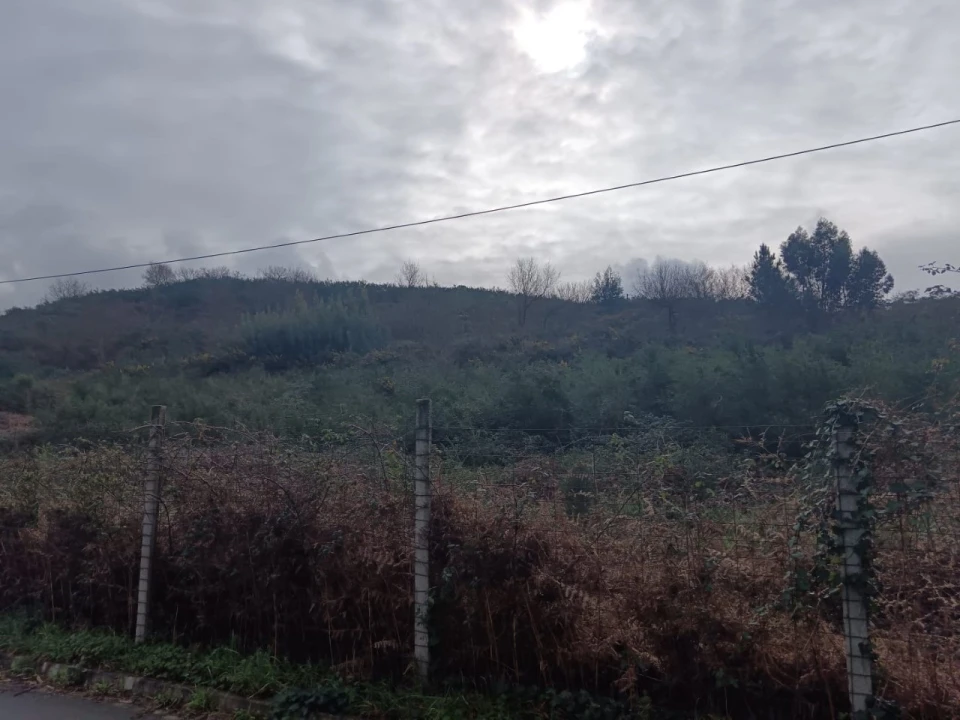 Terreno Agricola ou Rústico para Venda em Vila das Aves Foto 8