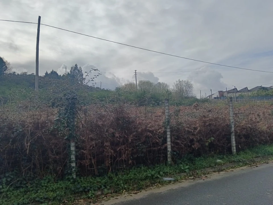 Terreno Agricola ou Rústico para Venda em Vila das Aves Foto 9