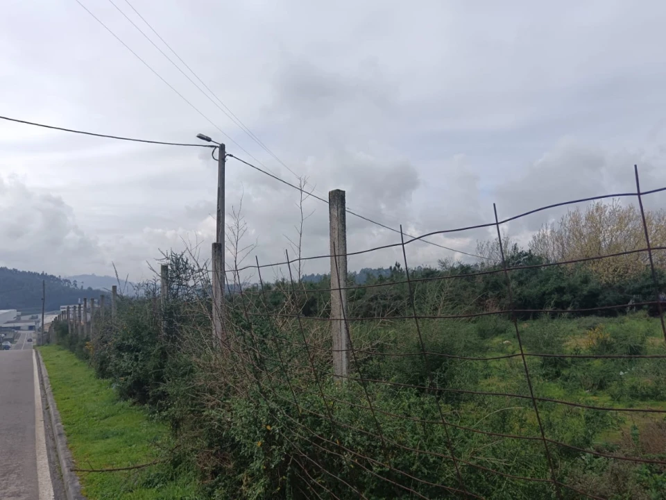 Terreno Agricola ou Rústico para Venda em Vila das Aves Foto 10