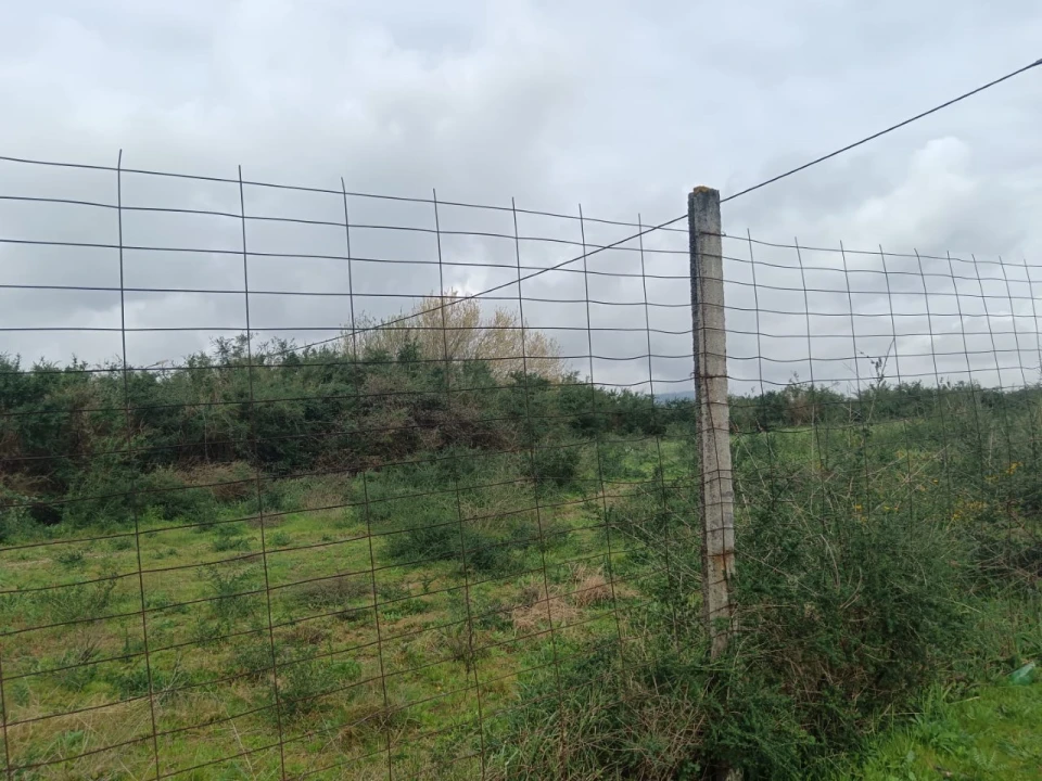 Terreno Agricola ou Rústico para Venda em Vila das Aves Foto 12