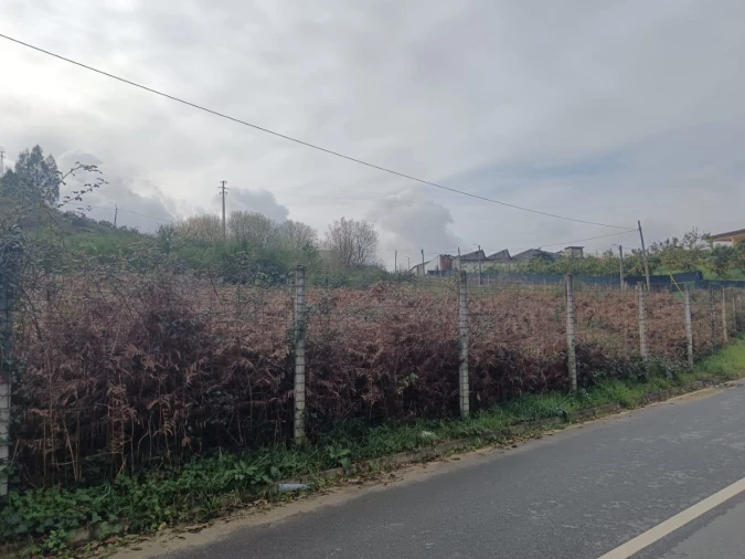 Terreno Agricola ou Rústico para Venda em Vila das Aves Foto 13