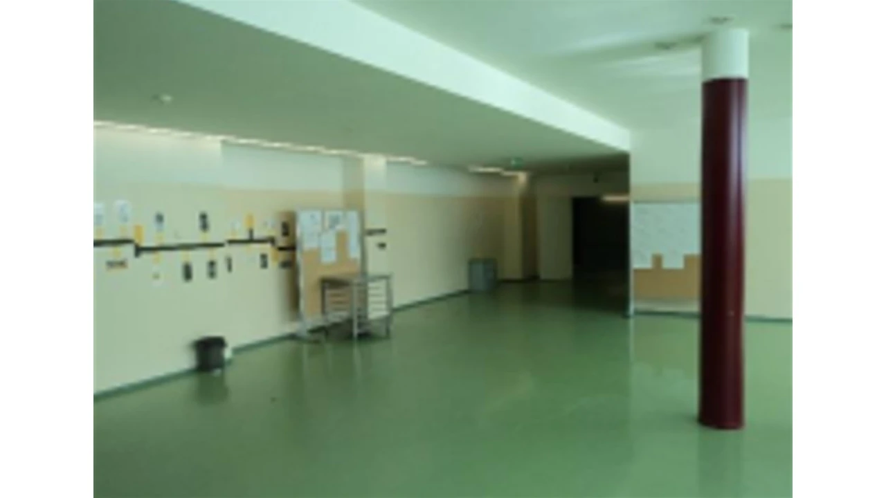 Prédio para Venda em Geraz do Minho Foto 5