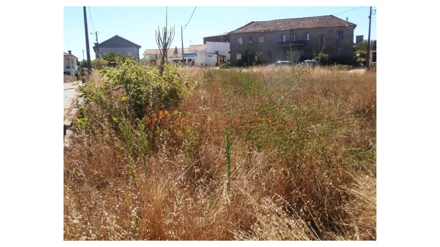 Terreno para Venda em Frazão Arreigada Foto 1