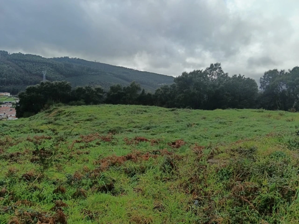 Terreno para Venda em São Tomé de Negrelos Foto 2