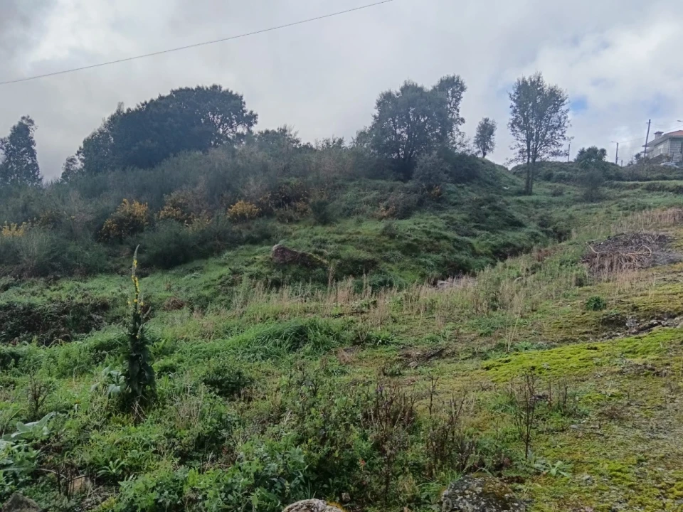 Terreno para Venda em São Tomé de Negrelos Foto 3
