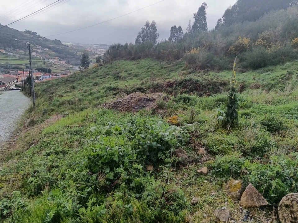 Terreno para Venda em São Tomé de Negrelos Foto 4