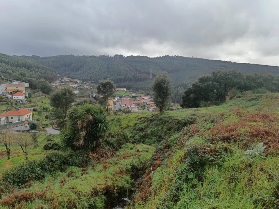 Terreno para Venda em São Tomé de Negrelos Foto 7