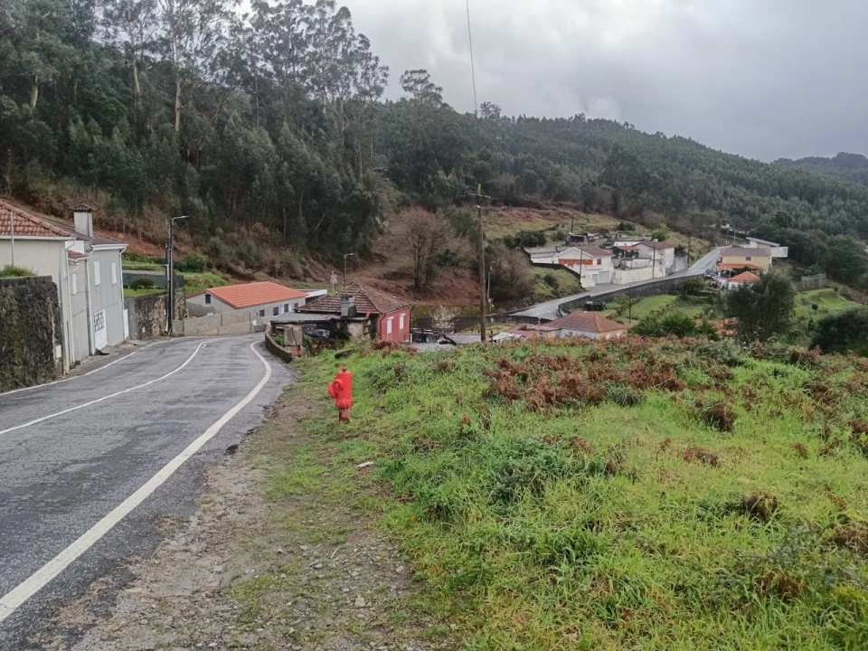 Terreno para Venda em São Tomé de Negrelos Foto 10