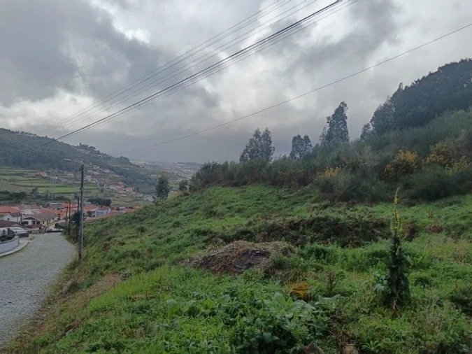 Terreno para Venda em São Tomé de Negrelos Foto 5