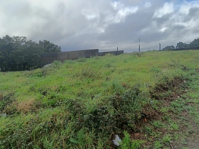 Terreno para Venda em São Tomé de Negrelos Foto 9