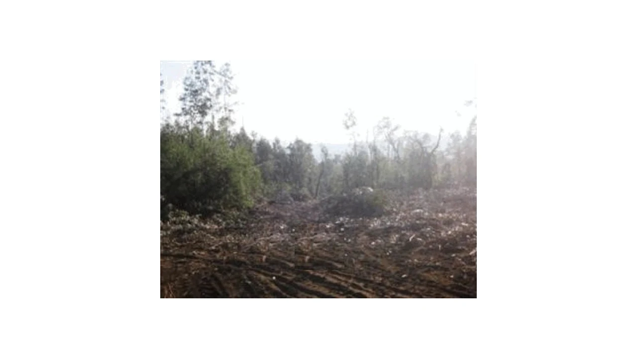 Terreno Agricola ou Rústico para Venda em Monte Córdova Foto 1