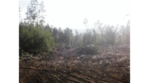 Terreno Agricola ou Rústico para Venda em Monte Córdova