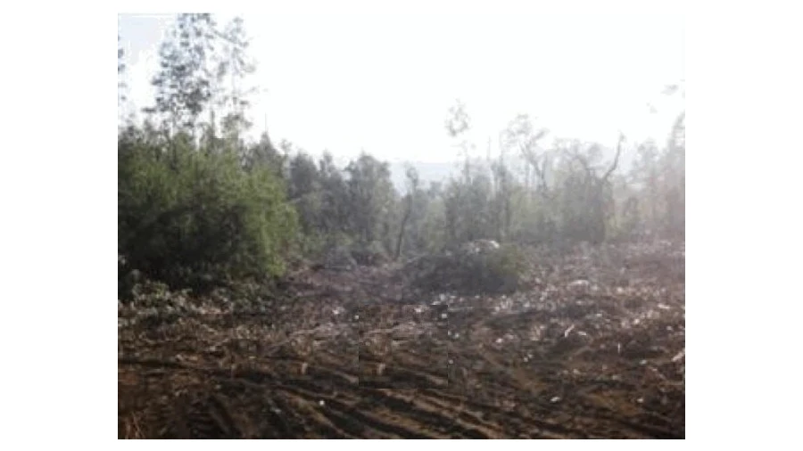 Terreno Agricola ou Rústico para Venda em Monte Córdova