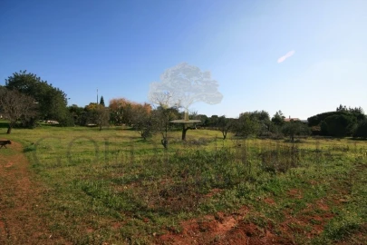Moradia T6 para Venda em Almancil