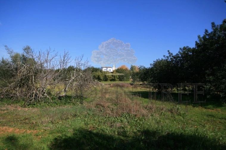 Moradia T6 para Venda em Almancil Foto 37