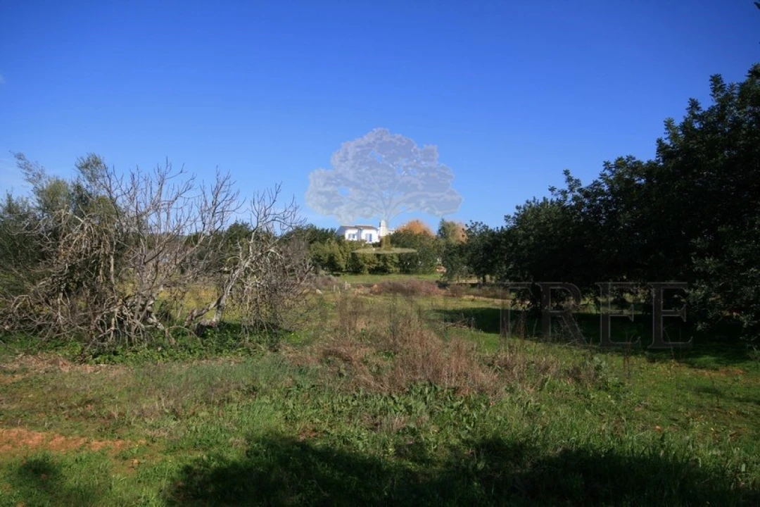 Moradia T6 para Venda em Almancil Foto 37