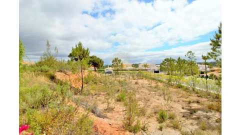 Terreno para Venda em Almancil