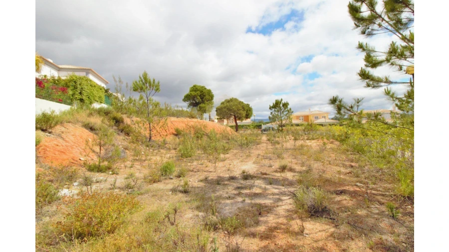 Terreno para Venda em Almancil Foto 4