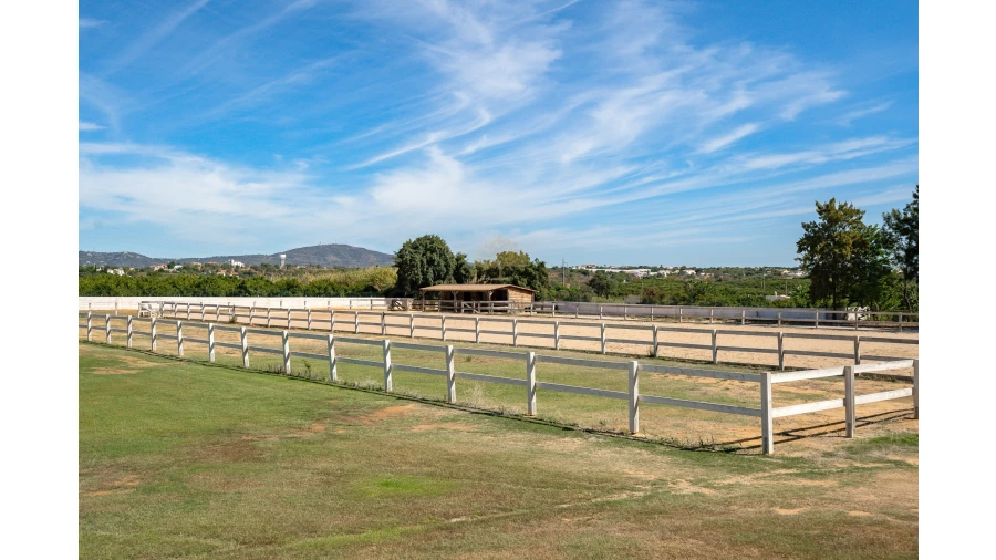 Quinta T4 para Venda em Pechão Foto 32