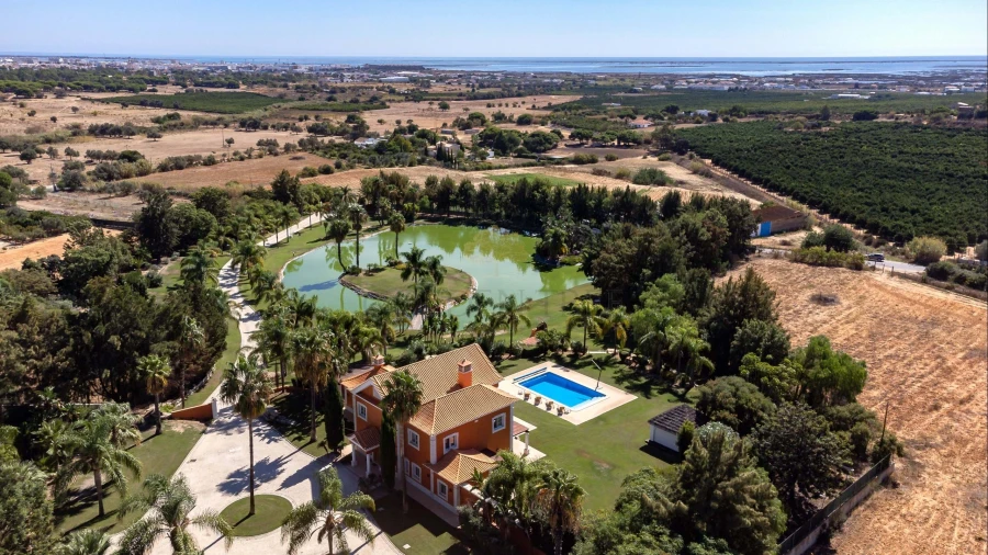 Quinta T4 para Venda em Pechão Foto 36