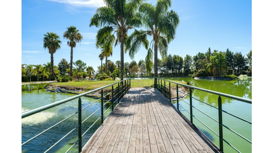 Quinta T4 para Venda em Pechão Foto 30